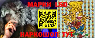 гашик Сланцы