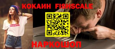 гашик Сланцы