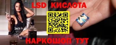 гашик Сланцы