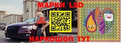 гашик Сланцы