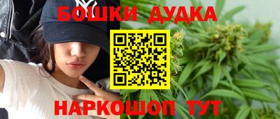 гашик Сланцы