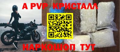 гашик Сланцы